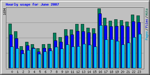 Hourly usage for June 2007