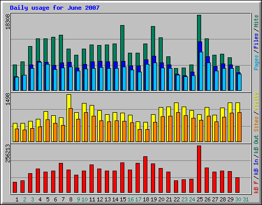 Daily usage for June 2007