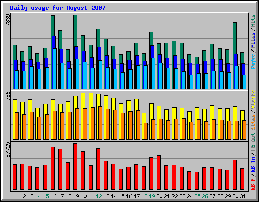 Daily usage for August 2007