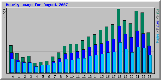 Hourly usage for August 2007
