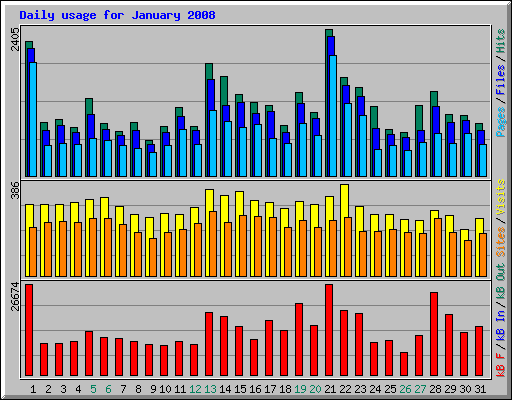 Daily usage for January 2008