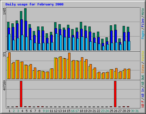 Daily usage for February 2008