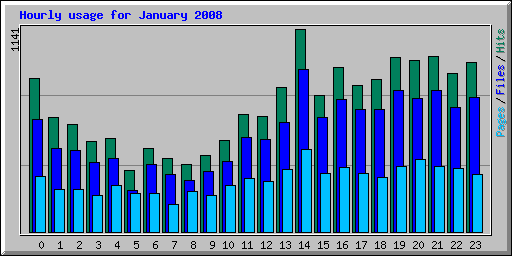 Hourly usage for January 2008