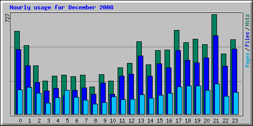 Hourly usage for December 2008