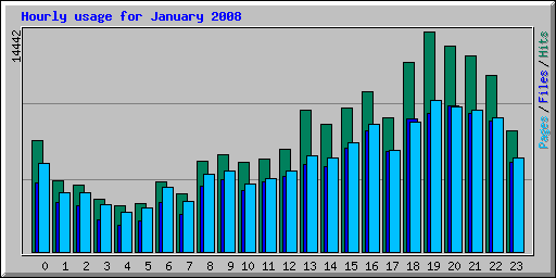 Hourly usage for January 2008