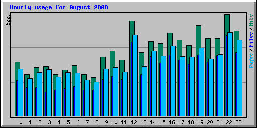 Hourly usage for August 2008