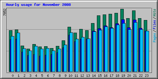 Hourly usage for November 2008