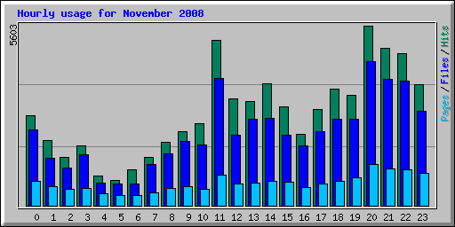 Hourly usage for November 2008