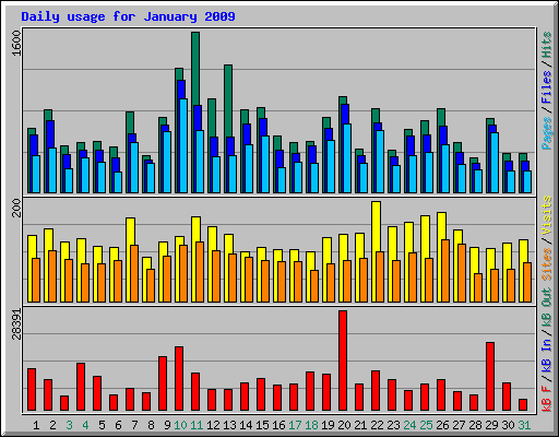 Daily usage for January 2009