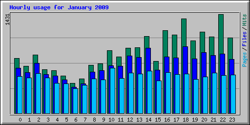 Hourly usage for January 2009