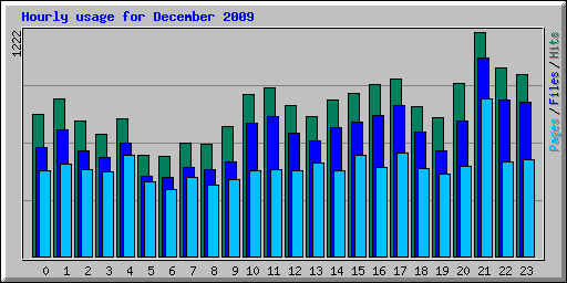 Hourly usage for December 2009