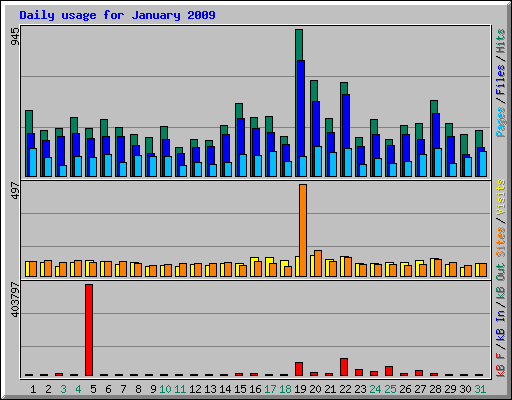 Daily usage for January 2009