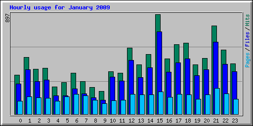 Hourly usage for January 2009
