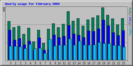 Hourly usage for February 2009