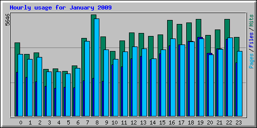 Hourly usage for January 2009