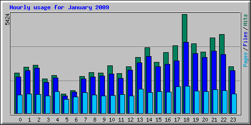 Hourly usage for January 2009