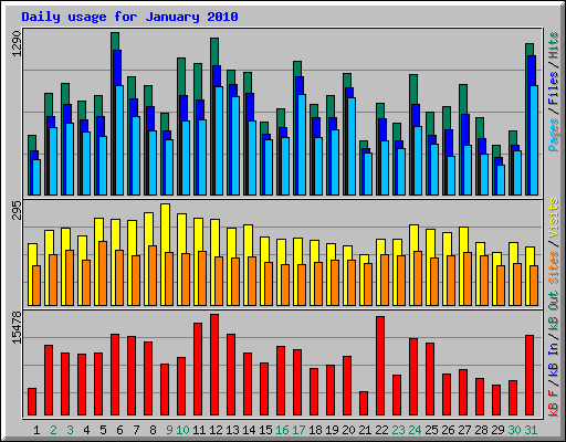 Daily usage for January 2010