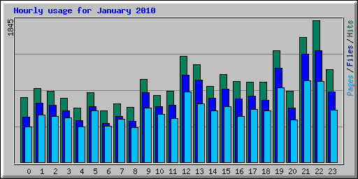 Hourly usage for January 2010