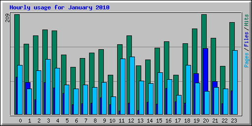 Hourly usage for January 2010