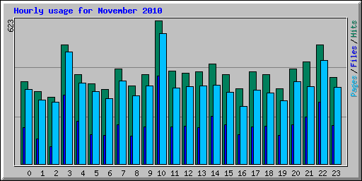 Hourly usage for November 2010