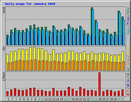 Daily usage for January 2010