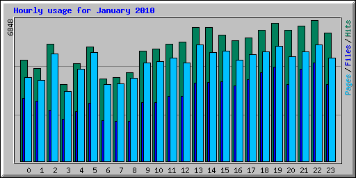 Hourly usage for January 2010