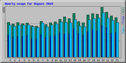 Hourly usage for August 2010