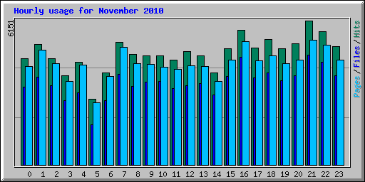 Hourly usage for November 2010