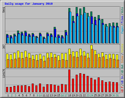 Daily usage for January 2010