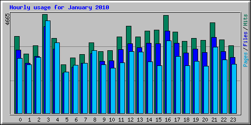 Hourly usage for January 2010