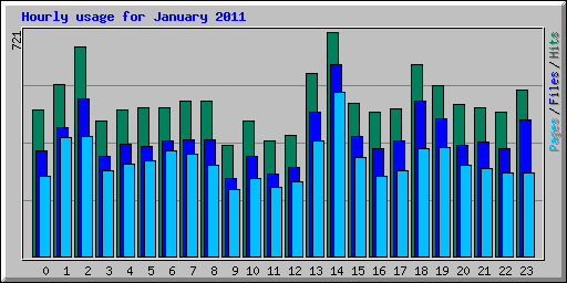 Hourly usage for January 2011