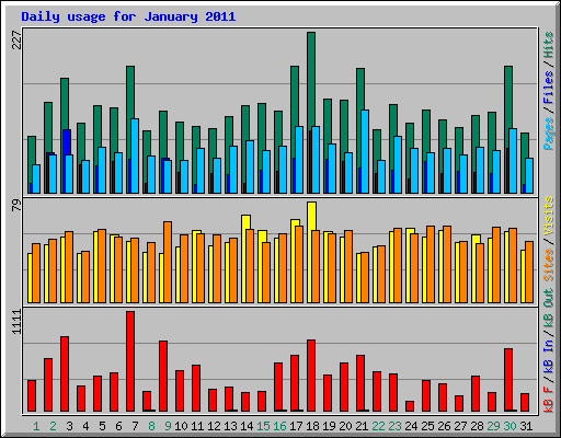 Daily usage for January 2011