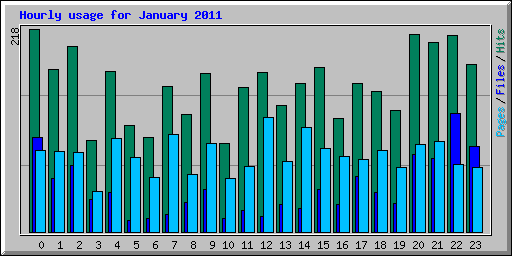 Hourly usage for January 2011