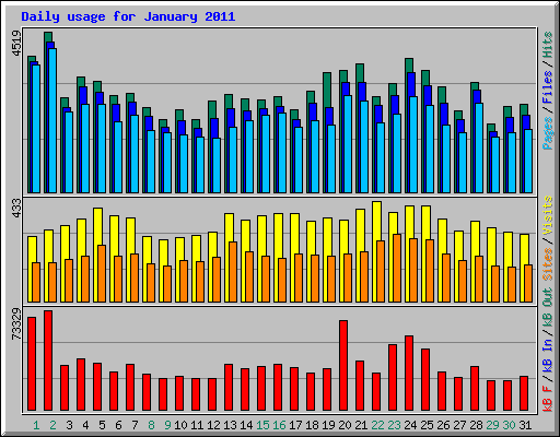 Daily usage for January 2011