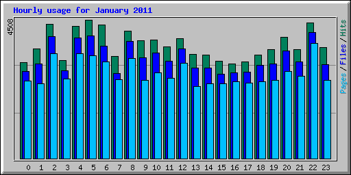 Hourly usage for January 2011
