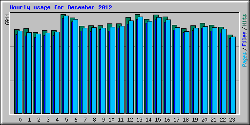 Hourly usage for December 2012