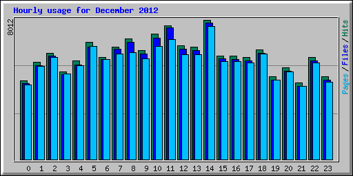 Hourly usage for December 2012