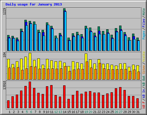 Daily usage for January 2013