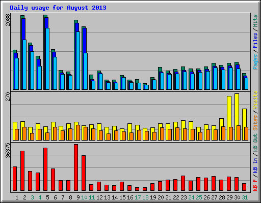 Daily usage for August 2013