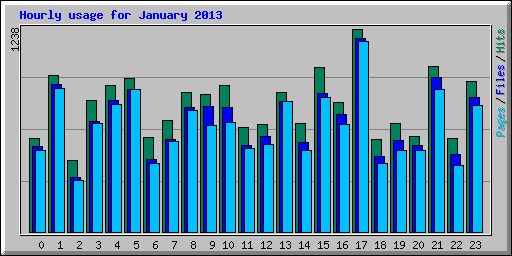 Hourly usage for January 2013