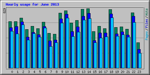 Hourly usage for June 2013