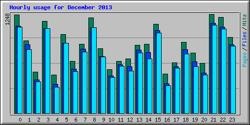 Hourly usage for December 2013