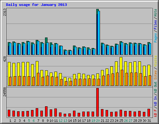 Daily usage for January 2013