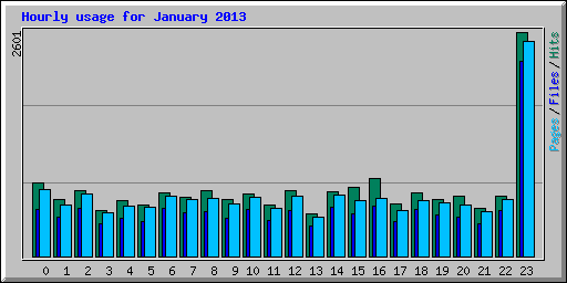 Hourly usage for January 2013