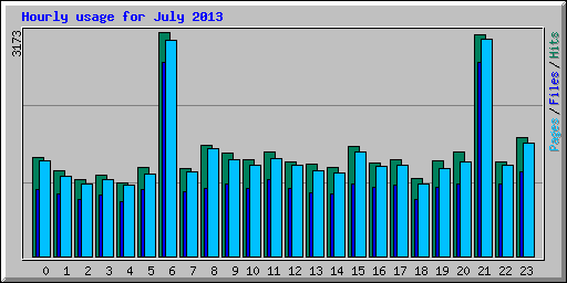 Hourly usage for July 2013