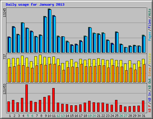 Daily usage for January 2013