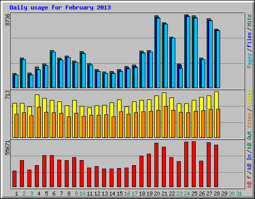 Daily usage for February 2013