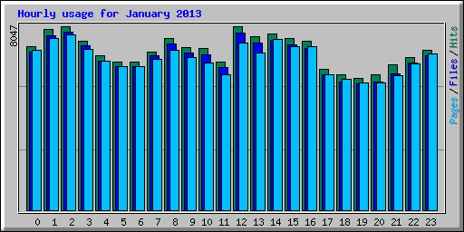 Hourly usage for January 2013