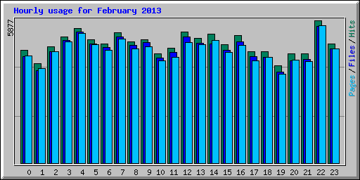 Hourly usage for February 2013
