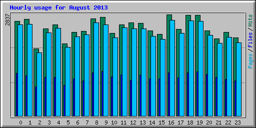 Hourly usage for August 2013